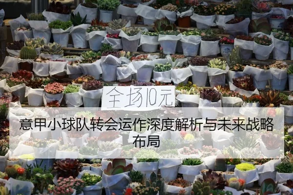 意甲小球队转会运作深度解析与未来战略布局